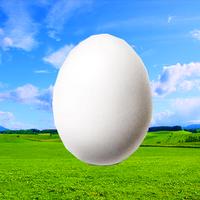 Poster Imitation Eggs