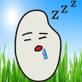 Sleep Rice