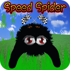 Speed Spider icône