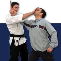Self Defense Techniques скриншот 2