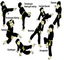 Self Defence Techniques পোস্টার