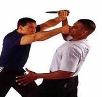 Self Defence Techniques imagem de tela 3