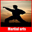 Full martial arts
