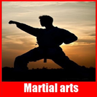 Full martial arts آئیکن