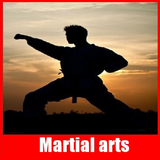 Full martial arts icône