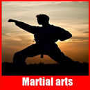 Full martial arts APK