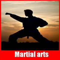 Full martial arts постер