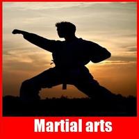 Full martial arts اسکرین شاٹ 2