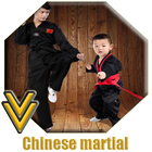 Chinese Martial Arts icône