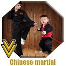 Artes marciais chinesas APK