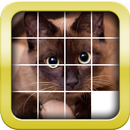 Slider Mania Animals Pro (Puzz APK