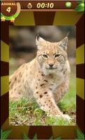 Animals slide Puzzle ảnh chụp màn hình 1