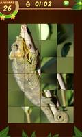 Animals slide Puzzle bài đăng