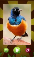 Animals slide Puzzle ảnh chụp màn hình 2