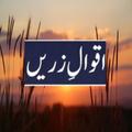 Aqwal e Zareen