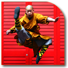Shaolin Kung Fu-icoon