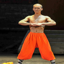 Shaolin Martial Arts Technique APK