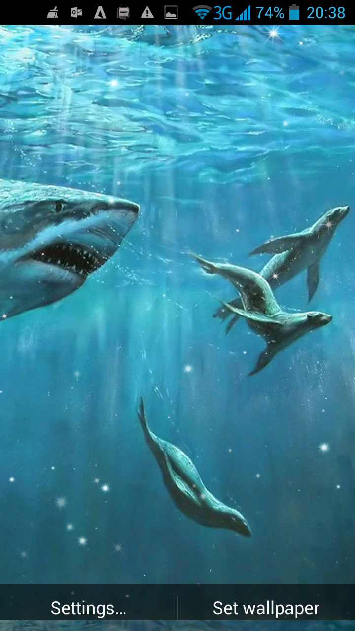 Shark 3D Live Wallpaper APK 2.0 for Android – Download Shark 3D Live