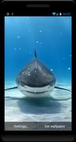 Shark Live Wallpaper پوسٹر