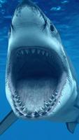 Shark  Live Wallpaper اسکرین شاٹ 1