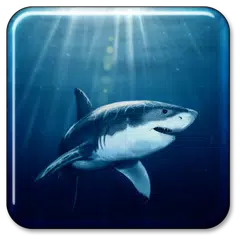 Shark Live Wallpaper