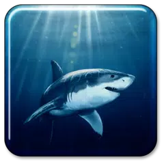 Shark Live Wallpaper APK download