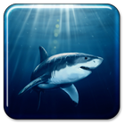 Shark Live Wallpaper ไอคอน
