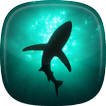 Shark Live Wallpaper
