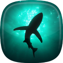 Tubarão Fundo HD APK