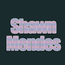 The Best of Shawn Mendes Songs APK