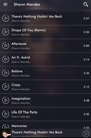 Shawn Mendes Songs mp3 poster