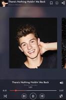 Shawn Mendes Songs mp3 screenshot 2