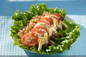 Salad Recipes syot layar 3