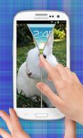 Cute  Bunny Zip Unlock ảnh chụp màn hình 2