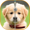 Puppy Zip Screen Lock Cute