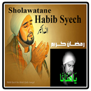 Kumpulan Sholawat Habib Syech APK