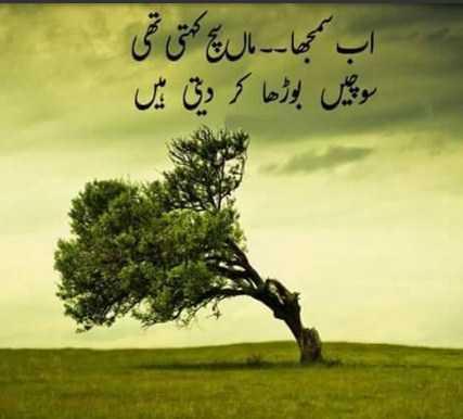 Short Urdu Poet Designs APK voor Android Download