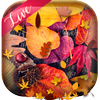 Android 用の 秋 花 ライブ 壁紙 Apk をダウンロード Android 用の 秋 花 ライブ 壁紙 Apk をダウンロード