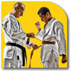 Karate Techniques APK