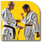 Karate Techniques-icoon