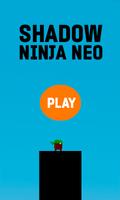 Shadow Ninja Neo Plakat