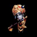 shree krishna wallpaper APK