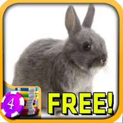 3D Bunny Rabbit Slots - Free APK 下載