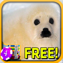 3D Baby Seal Slots - Free APK