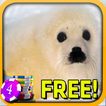 3D Baby Seal Slots - Free