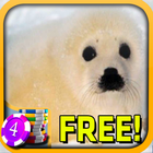 3D Baby Seal Slots - Free アイコン