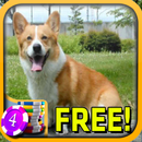 3D Corgi Slots - Free APK