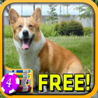 3D Corgi Slots - Free ไอคอน