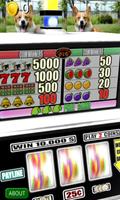 3D Corgi Slots - Free اسکرین شاٹ 1