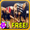 3D Dog Racing Slots - Free icon